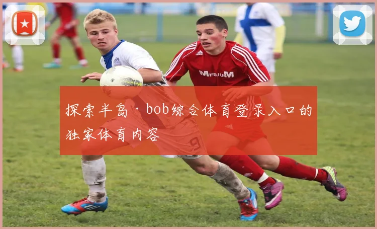 探索半岛·bob综合体育登录入口的独家体育内容
