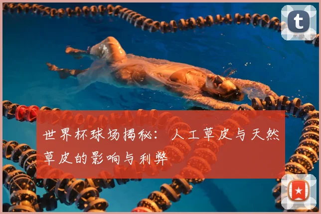 世界杯球场揭秘：人工草皮与天然草皮的影响与利弊